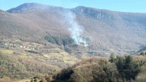 Ormanlık alanda örtü yangını çıktı
