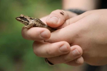 Ormanya’nın zengin biyoçeşitliliği kayıt altına alındı
