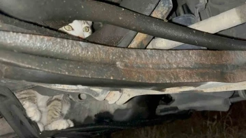 Otomobilin motoruna giren inatçı kedi otoparkta araçtan araca koştu
