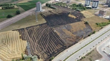 Paniğe neden olan anız yangını evlere sıçramadan söndürüldü
