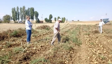 Patates üreticileri bilgilendirildi
