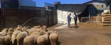 Polisler kurban satış pazarındaki esnafı dolandırıcılık ve hırsızlık olaylarına karşı bilgilendirdi
