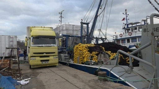 Rotalar İğneada’ya çevrildi: Kasa kasa hamsi tutuldu
