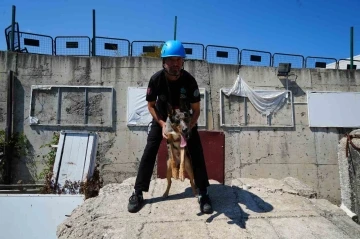 Sağlık Bakanlığı’nın ilk arama-kurtarma köpeği ’Shollie’ afetlere Samsun’da hazırlanıyor
