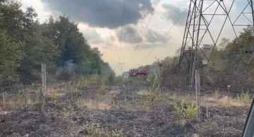 Sakarya’da boş arazide yangın
