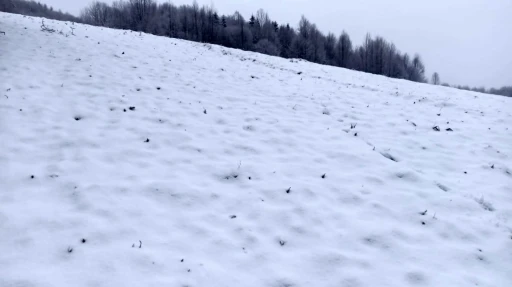 Sakarya’nın yüksek kesimleri yeniden beyaz gelinliğini giydi
