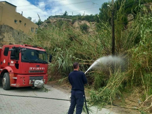 Samandağ’da kamışlık alanda çıkan yangın söndürüldü
