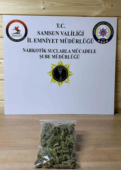 Samsun’da 142,5 gram skunk ele geçirildi
