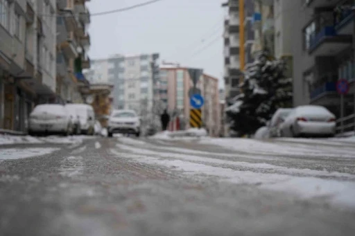 Samsun’da hayat dondu
