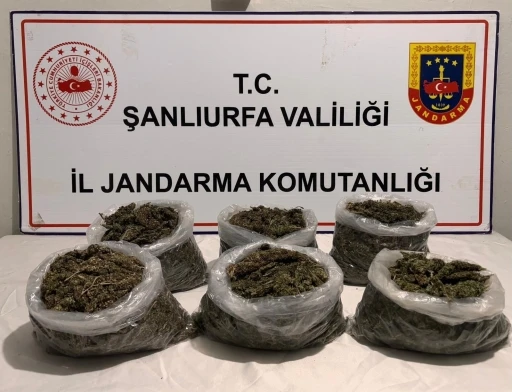 Şanlıurfa’da uyuşturucu operasyonu: 16 gözaltı
