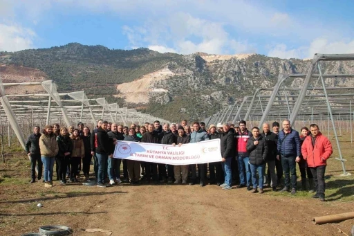 Şaphane ve Pazarlar ilçelerinde kiraz yetiştiricilerine uygulamalı eğitim
