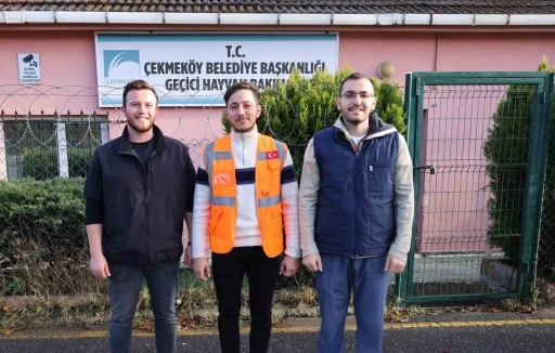 Şehre inen kurt belediye ekipleri tarafından yakalandı
