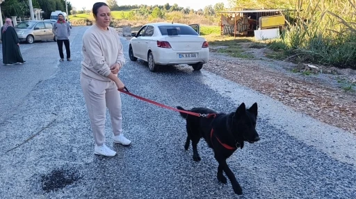 Sel sularının arasında kalan köpeği düzenledikleri operasyonla kurtardılar
