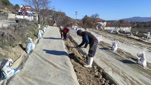 Selendi’de üreticilerin tütün telaşı başladı
