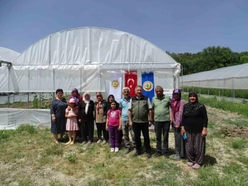 Seralardan ilk ürünler toplanmaya başladı
