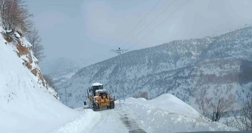 Siirt’te 99 köy yolu kapandı
