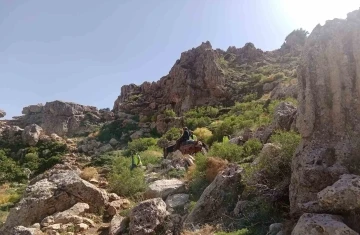 Siirt’te dağ başında rahatsızlanan çoban at sırtında ambulansa ulaştırıldı
