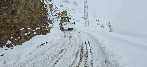 Siirt’te kar 92 köy yolunu ulaşıma kapattı
