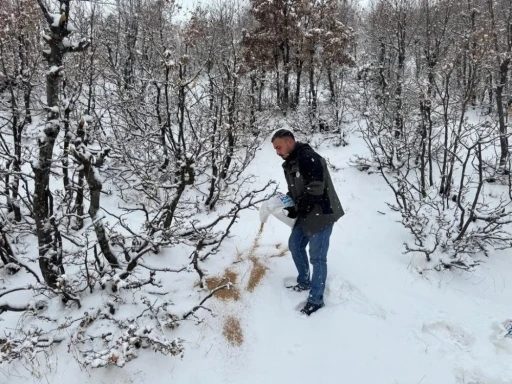 Siirt’te yaban hayvanları için doğaya yem bırakıldı
