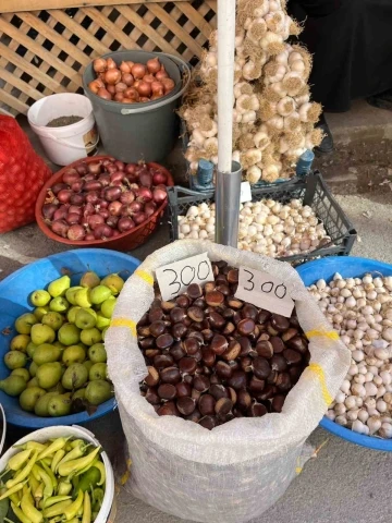 Sinop kestanesi tezgahlarda: Kilosu 300 lira
