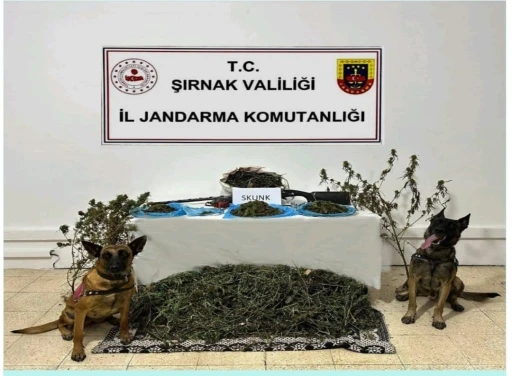 Şırnak’ta Jandarma ekiplerinden kaçakçılık operasyonu: 2 tutuklama
