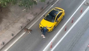 Şişede durduğu gibi durmadı: Alkollü şahıs trafiği tehlikeye düşürdü
