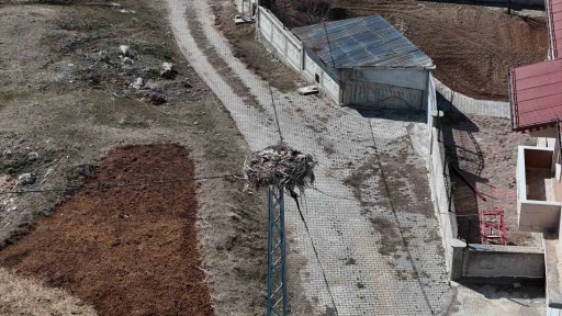 Sivas’ın ‘Leylekli köyü’, baharın müjdeleyicilerini bekliyor
