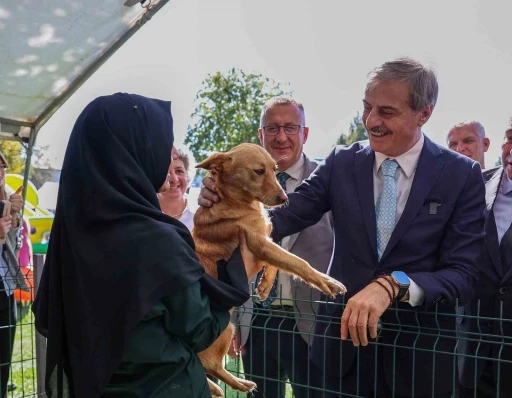 Sokak Hayvanları Doğal Yaşam Kampüsü için ihaleye çıkılıyor
