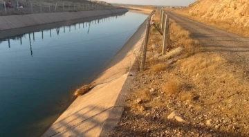 Sulama kanalına giren çocuk boğuldu
