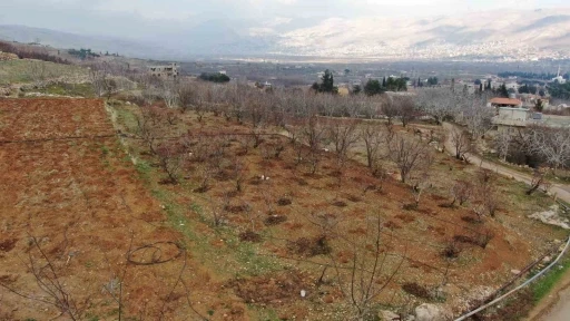 Suriye’de rejimin engellediği tarım yeniden başladı
