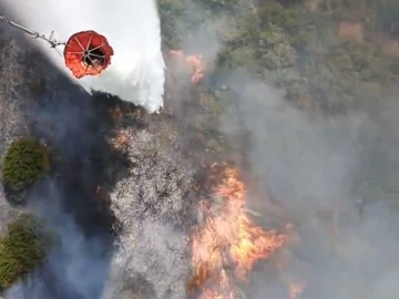 Susurluk’ta araç kazası orman yangınına dönüştü
