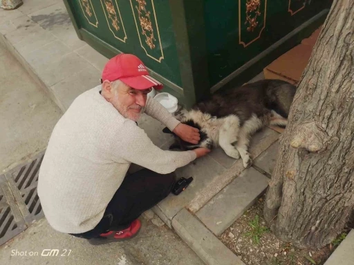 Taksi durağında sahiplendiği köpeğe çocuğu gibi bakıyor
