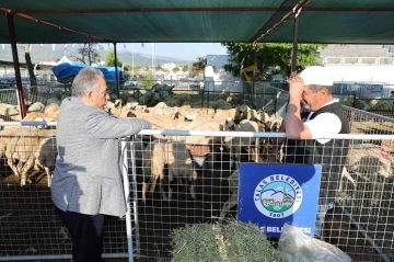 Talas’ta kurban pazarına başvurular başladı
