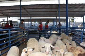 Tarım İl Müdürlüğü ekipleri Kurban Bayramında sahada olacak
