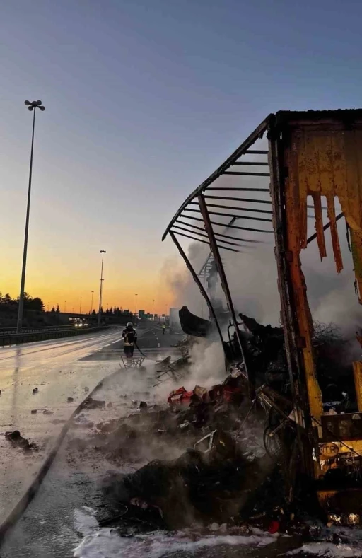 Tarsus’ta tırda çıkan yangında kargo ürünleri yandı
