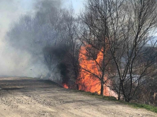 Taşova’da Yeşilırmak’ın kıyısında yangın çıktı
