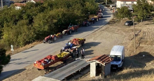 Taze ceviz toptan 25 liraya satılıyor
