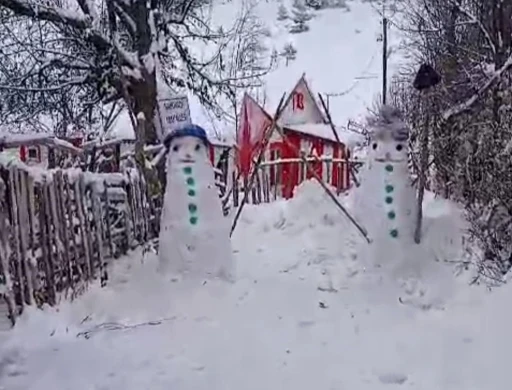 Tek başına yaşadığı köyde kardan ordu kurdu
