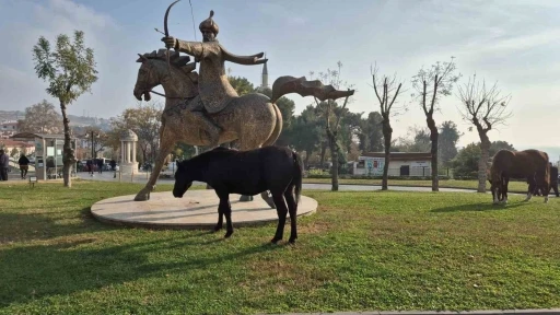 Tekirdağ’da atlı heykeli mesken tutan başıboş atlar ilgi odağı oldu
