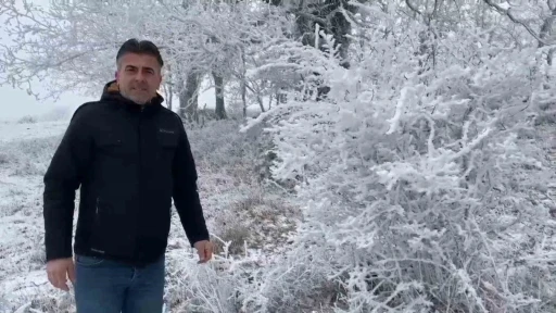 Tekirdağ’da ilginç doğa görüntüsü: Bir yanda bahar, bir yanda kış
