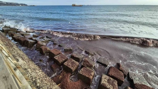 Tekirdağ kıyılarında kızıl yosun istilası
