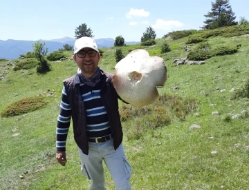 Tepsi büyüklüğündeki içi kızıl mantar görenleri şaşırttı
