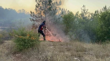 Tokat’ta korkutan orman yangını
