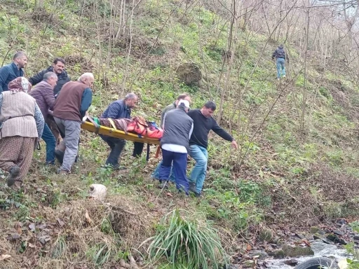 Trabzon’da otomobil dereye uçtu: 2 yaralı
