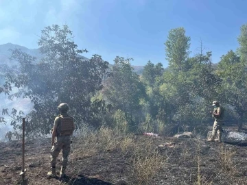 Tunceli’de çıkan örtü yangın söndürüldü
