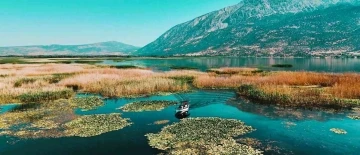 Türkiye’nin en büyük nilüfer tarlasında renklerin buluşması mest etti
