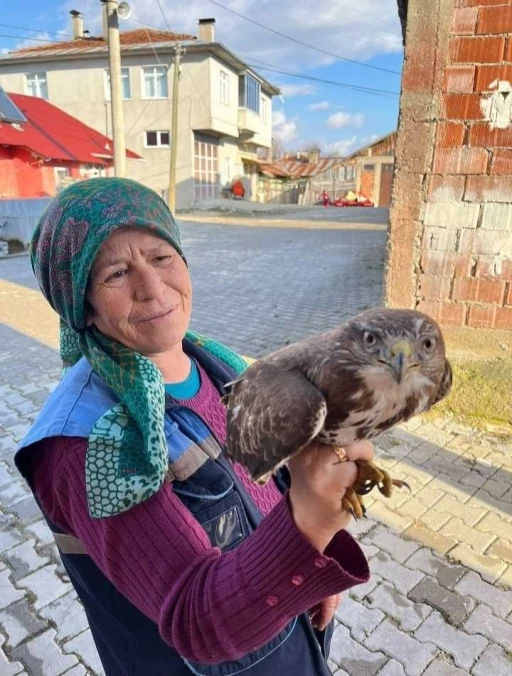 Uçamayan yaralı Şahin’e, köylüler sahip çıktı
