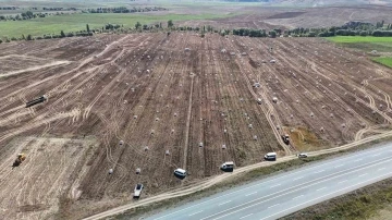 Uçsuz bucaksız arazide yüzlerce işçi ile patates hasadı başladı
