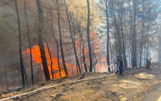 Ula Kaymakamlığı'ndan orman yangını uyarısı