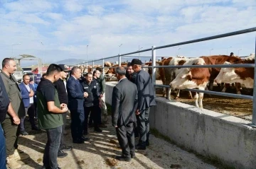 Vali Çiçek, Ardahan hayvan pazarında incelemelerde bulundu
